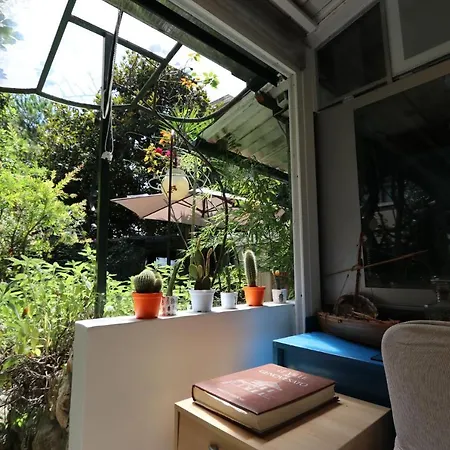 Apartment Azzurra